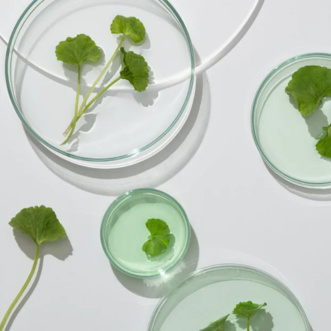 Top 10 Korean Beauty Ingredients and Their Benefits