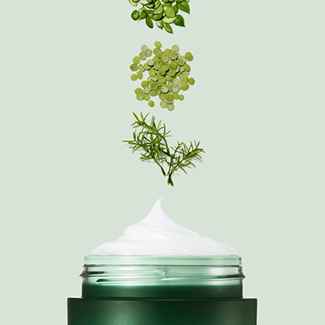 LANEIGE - Cica Sleeping Mask - 10 ML