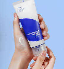 Isntree - Hyaluronic Acid Aqua Gel Cream 100ML