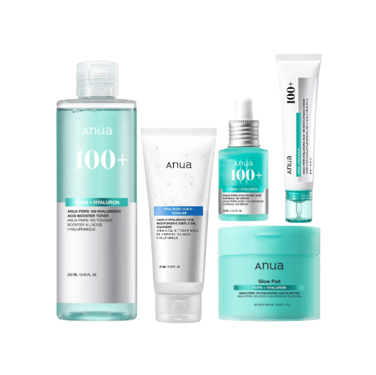 Anua Deep Hydration PDRN Glow Set