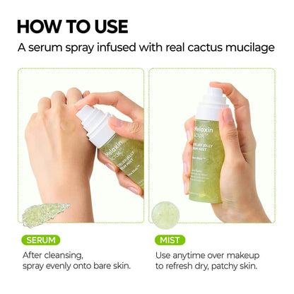 Dr.Melaxin Cactox Pore Relief Jelly Serum Mist 80mL