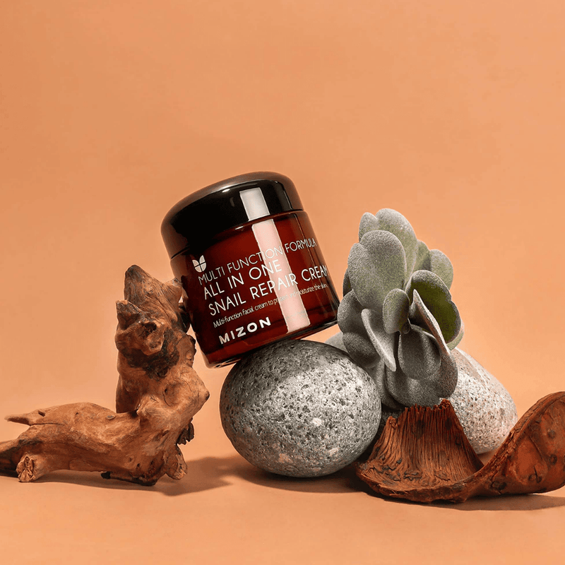 Mizon - All In One Snail Repair Cream 75ml