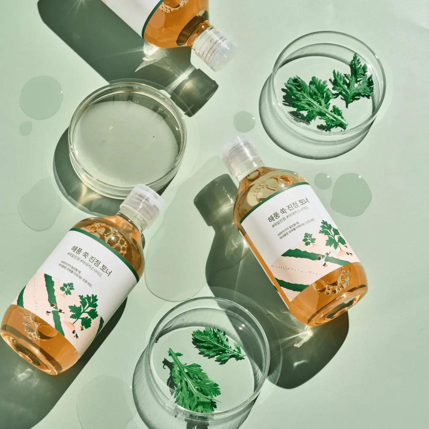 ROUND LAB MUGWORT CALMING TONER - 300ml - AU Beauty Bazaar