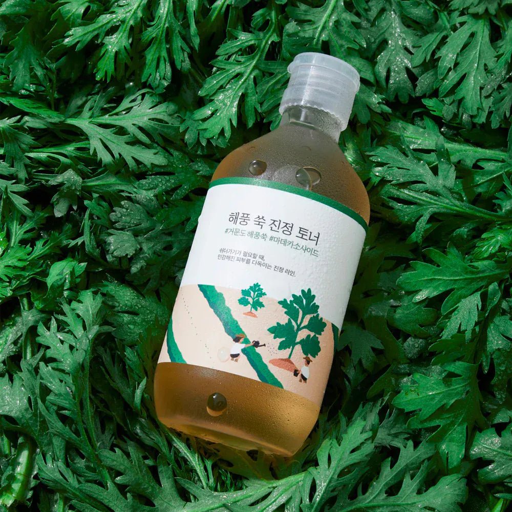 ROUND LAB MUGWORT CALMING TONER - 300ml - AU Beauty Bazaar