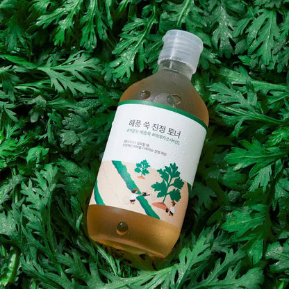 ROUND LAB MUGWORT CALMING TONER - 300ml - AU Beauty Bazaar